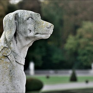Nordkirchen 3.10.2011