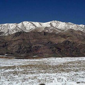 Alborz1