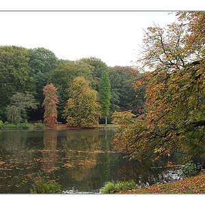 Herbst 2011 Rombergpark 1