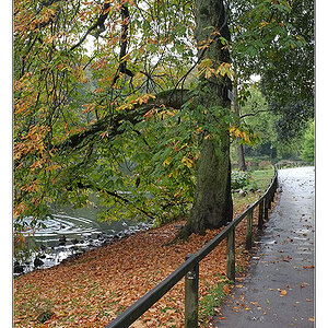 Herbst 2011 Rombergpark 2