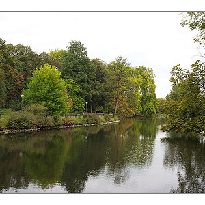 Herbst 2011 Rombergpark 5