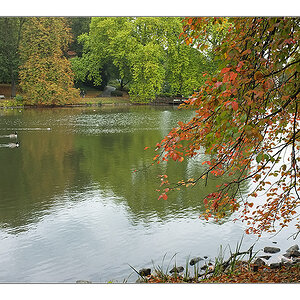 Herbst 2011 Rombergpark 6
