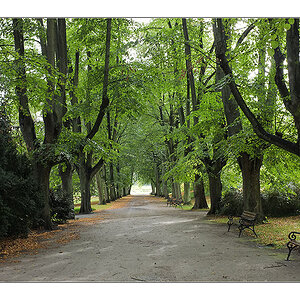 Herbst 2011 Rombergpark 11