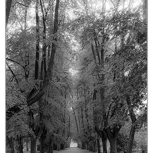 unscharfer SW Herbst