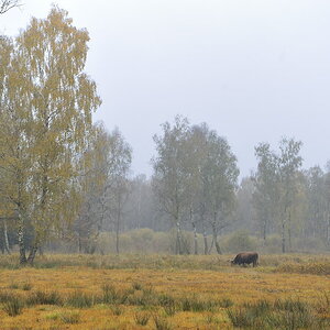 2011103113274473