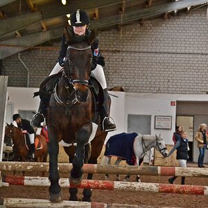 DSC 0181nf