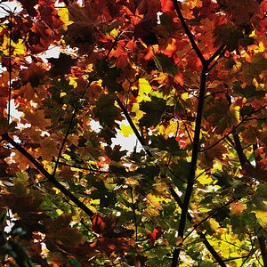 herbst10