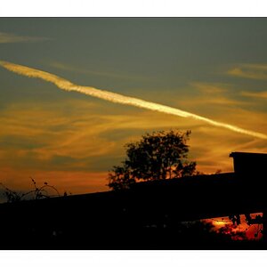 DSC0089 255