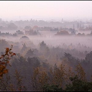 11 10 29Teufelsberg morgens 026