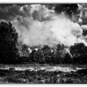 "Deutscher Herbst"
D3s, Summicron, R50f2, f5,6, ISO 200, 1/1000sec