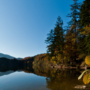 Nussensee 2