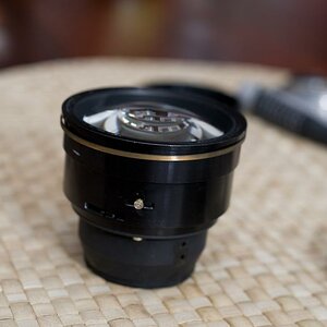 Nikkor S 55mm 1.2 zerlegt (5 von 10)