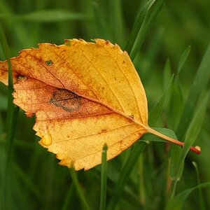 Herbst...