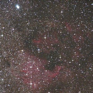 NGC 7000