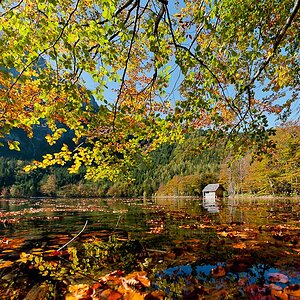 Farben im Herbst