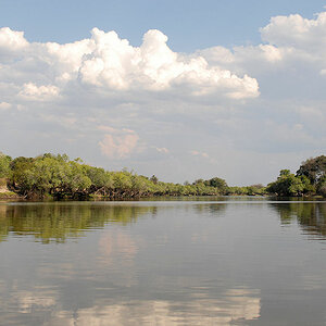Lufupa River, Kafue
2817