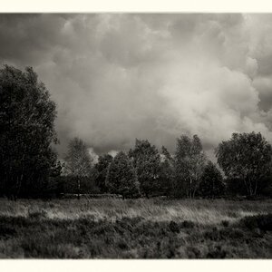 "Deutscher Herbst # 3"