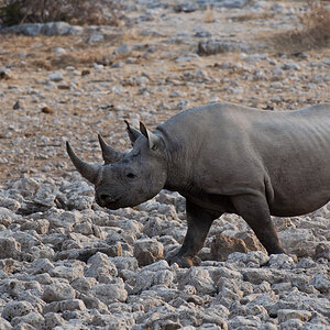 namibia 58