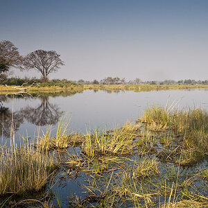 namibia 43 n