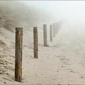 Nebel 2
