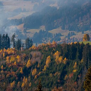 NFF DSC 0143