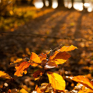 Langer Schatten