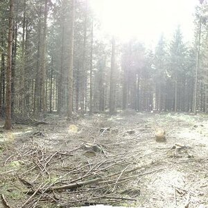 Bestand 1 Panorama