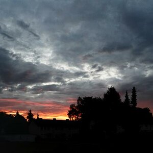 DSC 0043