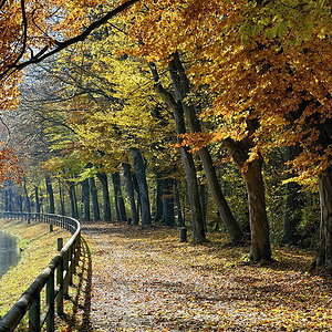 2011110314003008
