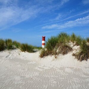 Helgoland 14.06.11 (38)