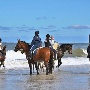 Sylt 15.06.11 (8)