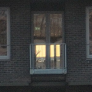 067 crop