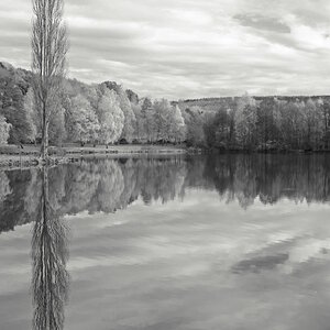 DSC3442 SW2