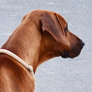 e630 1a 6c83crop