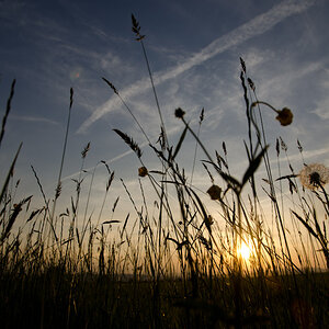 Sunset 2