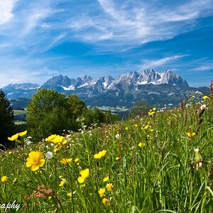 Der wilde Kaiser   Kitzbühel