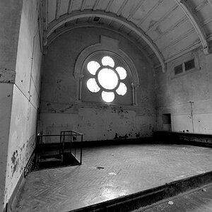 Hallo  001 (Large)