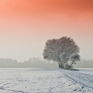 Winterjpg
