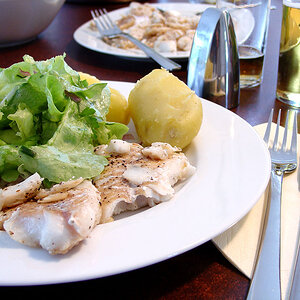 fisch