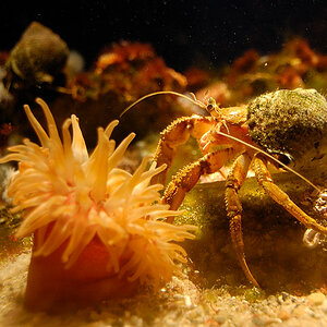20090216 13 Ozeaneum
