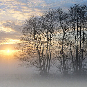 Emslandnebel 5