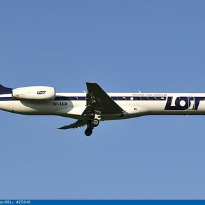 Lot1
