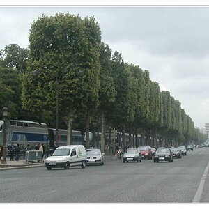 traincapitale