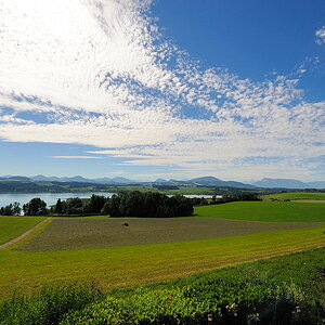D03 8800
