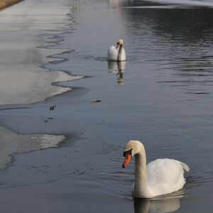20090116 125510 Nymphenburg