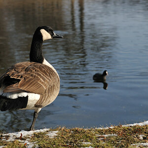 20090116 130832 Nymphenburg