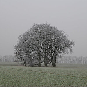 etwas Winter