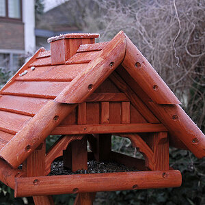 VogelhausNeuIn