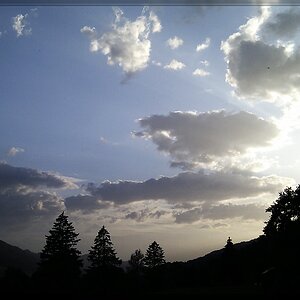 Gegenlicht