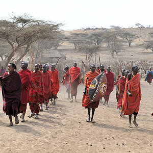 Willkommenslied vor einen Massaidorf (Boma)
zwischen Serengeti und Ngorongoro Hochland
3212